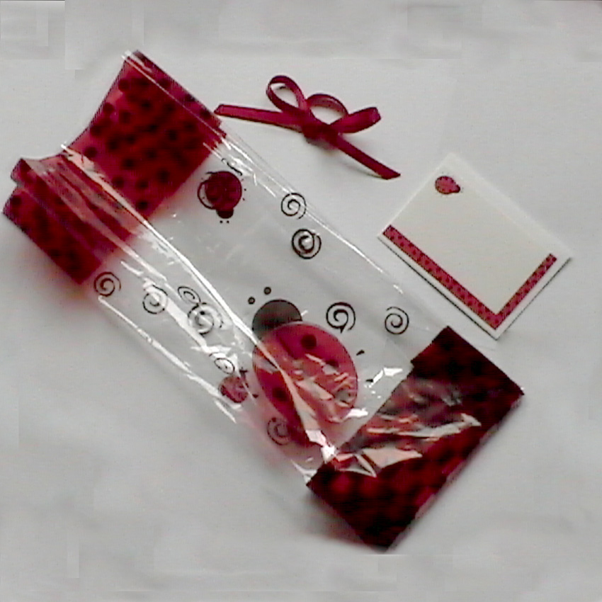 Ladybug Cello Gift Bag with Ribbon, Gift Card and Envelope Ladybug Gift Store
