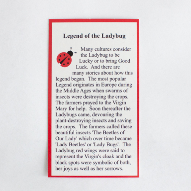 Ladybug Legend