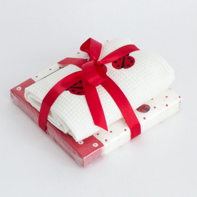 Ladybug Gift Set