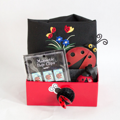 Ladybug Gift  Basket
