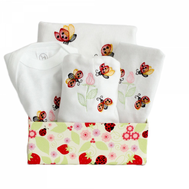 Newborn Ladybug Gift Set