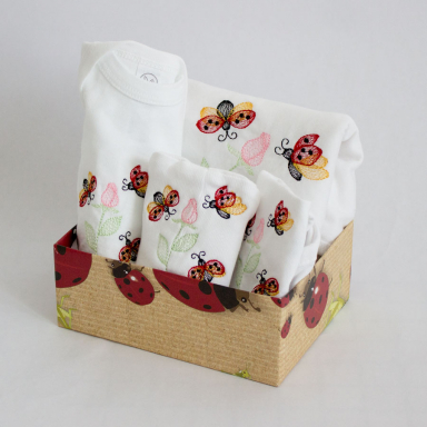 Newborn Ladybug Gift Set