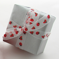 Ladybug Ribbon