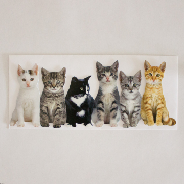 Die Cut Card of Six Adorable Kittens