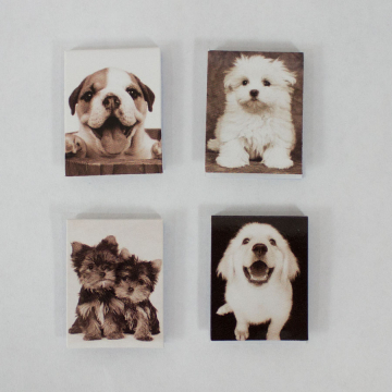 Dog Magnetic Page Clips