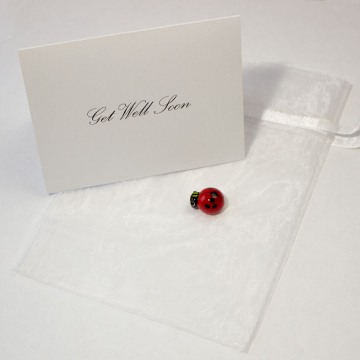 Ladybug Get Well Gift