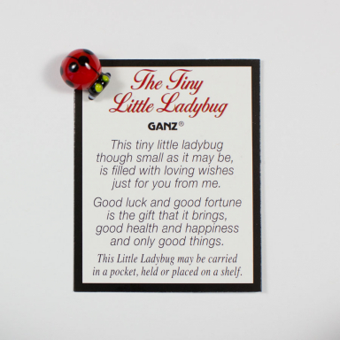 The Tiny Little Ladybug